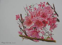 Similarly, draw a horizontal line equally dividing the bottom half of the rectangle. Cherry Blossom Flowers Drawing By Huey Chih Ho Saatchi Art