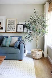 Olive Trees Are The New Fiddle Leaf Fig Living Room Decor Indoor Olive Tree Room Decor
