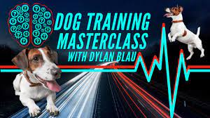 It becomes for them to learn. Q A On The Spot Dog Training Help Masterclass Dog Training With Dylan Blau Youtube