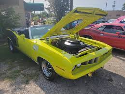 Image result for Amber Sherwood 1973 Fury