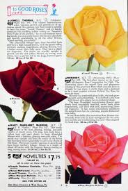 Lowell rose (born march 11, 1990) is an american football cornerback who is currently a free agent. The Illustrated Plant Nut Rose Garden Before Time