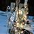 Elegant Wine Bottle Centerpieces