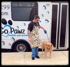 Maybe you would like to learn more about one of these? Dotty Pet Grooming San Antonio The Y Guide