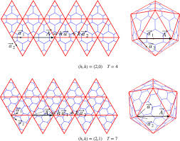 Maybe you would like to learn more about one of these? On Virus Growth And Form Sciencedirect