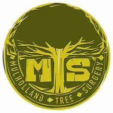 Our team of professional arborists and tree care personnel with a combined 45 years of experience is what you need for your tree service needs. Mulholland Tree Surgery Tree Surgeon Worthing Checkatrade