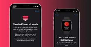 How To Use Cardio Fitness On Iphone And Apple Watch 9to5mac Cardio Workout Apple Fitness Cardio