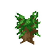 How To Grow Dark Oak Trees In Minecraft?