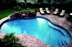 Comphrehensive resource on every type of pool shape, design and surface known to humanity. Mountain Pond Pool Designs Generation Poolss
