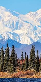 Image result for Caledonia Blue 1990 Summit