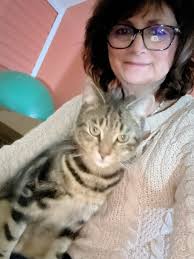 Hi we are missing our sweet boy Taz!!! Please if you have seen him please  text my number 765-650-5599. Please do not approach he is very skittish and  probably hungry. Thank you