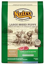 Amazon Com Nutro Large Breed Dry Puppy Food Lamb And Brown