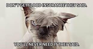 Get a flood insurance quote now. Flood Insurance Help Home Facebook