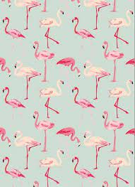 نتيجة بحث الصور عن مطويات فلامنجو coffee cards cards activities