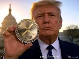 Sara Hopps (@SaraHopps777)