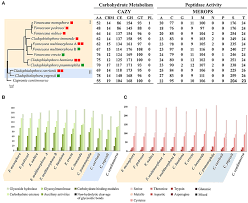 Jump to navigation jump to search. Frontiers Comparative Genomics Of Sibling Species Of Fonsecaea Associated With Human Chromoblastomycosis Microbiology