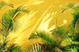 Adding color to a garden wall creates a strong focus for the space. Five Bright Ideas For Your Outdoor Feature Wall Sandtex Masonry Paint