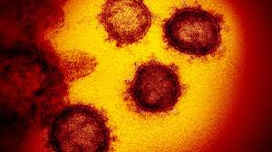 Study reports mutant coronavirus that may be more contagious - Los Angeles Times