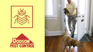 Find dodson branches locations opening hours and closing hours in in winchester, va and other contact details such as address, phone number, website. Bed Bugs Dodson Pest Control