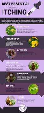 7 Best Essential Oils For Itching Best Essential Oils Essential Oils For Skin Essential Oil Blends