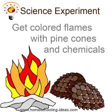 Pine cone projects | incredible fall home decor crafts. Homeschool Science Chemical Experiment