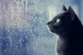 Rezultate imazhesh pÃ«r haw people feel when its raining