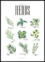 Poster Fur Die Kuche Mit Krautern Kuchenposter Online Desenio De Discover our text posters category.