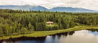 Cabinlife.com celebrates the best of cabin living, from design and decor to maintenance and more! Blog Our Cabin Life