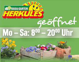 Wir planen und realisieren ihren traumgarten. Angebote Herkules Bau Garten Markt