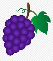 In purple colors you will see the highest levels of cyan and magenta. Bunch Of Purple Grapes Grapes Clipart Png Download 68929 Pinclipart