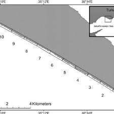 Szerezze be 20.395 másodperces (23.98 kép/s) bee nest in a saguaro című stockvideónkat. Pdf Nest Site Preference And Hatching Success Of Green Chelonia Mydas And Loggerhead Caretta Caretta Sea Turtles At Akyatan Beach Turkey
