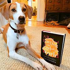 He knows the way to most of the exits to the levels he frequents and is sure to help wanderers looking for an exit. A Boy And His Dog At The End Of The World A Novel Fletcher C A 9780316449458 Amazon Com Books