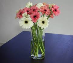 Same day flower delivery in singapore. Fresh Cut Flowers Wholesale Far East Flora Thomson Road Spring Tomorrow