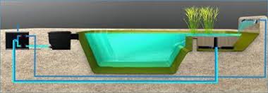 Schwimmteich Selbstbau Schwimmteich Schwimmbad Bauen Naturschwimmteich