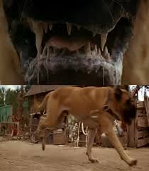 The English Mastiff In The Sandlot English Mastiff Mastiffs Dogs And Puppies