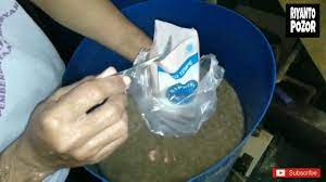 Cara Peragian Dalam Proses Pembuatan Tempe Youtube Tempe Youtube