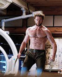 The Wolverine 2013 Wolverine Hugh Jackman Logan Wolverine Hugh Jackman Wolverine Comic