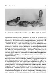 Image result for Helixanthera garciana