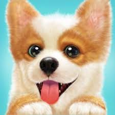 See more ideas about master, coin master hack, spinning. Pocket Puppy By Libii Tech Limited