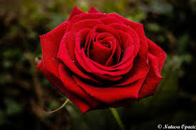 Pin On Beautiful