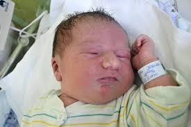 Fotogalerie: Právě jsme se narodili