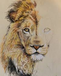 Check spelling or type a new query. Klimat Stena Myasto Na Razhdane Animali Disegni A Matita Amazon Stevenknutson Com