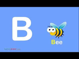 You can understand it in a better way with the comprehensive lists of nouns that start with b. Toddler Words Words Starting With B Youtube