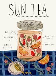 Recipe Via Herbal Academy 1 Cup Red Clover Blossoms1 Cup Red Raspberry Leaf Cup Hibiscus Flowers Cup Dried Orange Peeldirection Sun Tea Tea Recipes Herbalism
