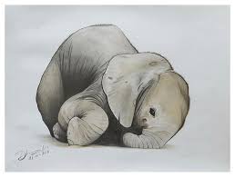 Check spelling or type a new query. Baby Elephant Realistic Color Pencil Sketch Drawing By Sketches In