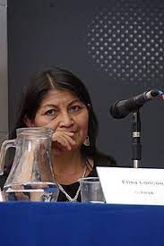 Catalina cortés constituyente indígena @catacortes_pica. Elisa Loncon Wikipedia La Enciclopedia Libre