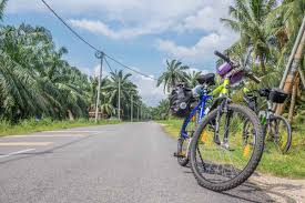 Malaysia bicycle shop established at 1990. Cycling Malaysia From Kl To Penang 5 Day Itinerary Monkey Rock World