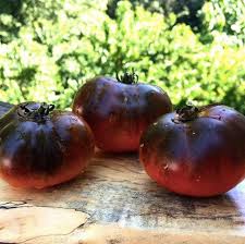 Maybe you would like to learn more about one of these? Top 5 Reasons You Keep Killing Your Potted Tomato Plants Growjourney