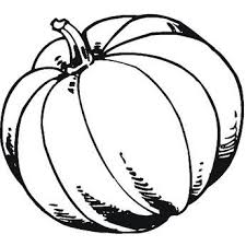 May 10, 2018 · basket of vegetables coloring page. Dibujos De Verduras Y Hortalizas Para Colorear Imagui Pumpkin Coloring Sheet Pumpkin Coloring Pages Coloring Pages