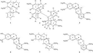 Image result for Annickia