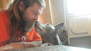 Anyone know dog trainers for aggressive dogs ?